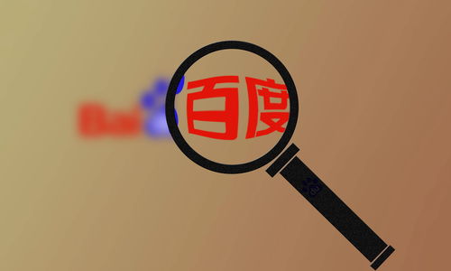 最新强引蜘蛛池怎么做